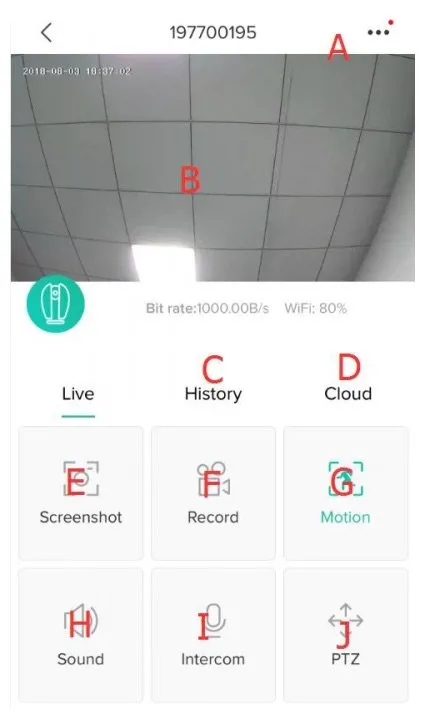 Interface vidéo en temps réel